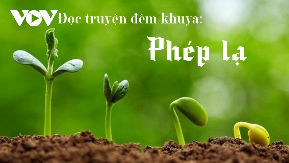 Truyện ngắn "Phép lạ" - Luật nhân quả